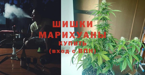 гидропоника Осташков